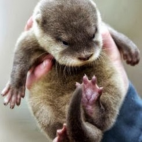 Meet your Posher, Meghan - Picture 1 of 1